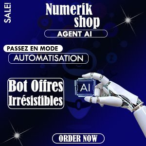 Bot Offres Irrésistibles (Modèle Hormozi)